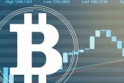 比特币中国用户多少(比特币中国玩家占多少)