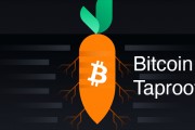 比特币扩容和分叉(比特币分叉最大的风险是什么)