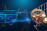 比特币请愿书(比特币协议是骗局吗)