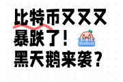 比特币转入日本账户(比特币转入日本账户要多久)