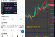 国内比特币谁持有最多(国内比特币持有最多的人)