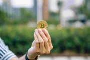 比特币法币是指(比特币法币是指哪些)